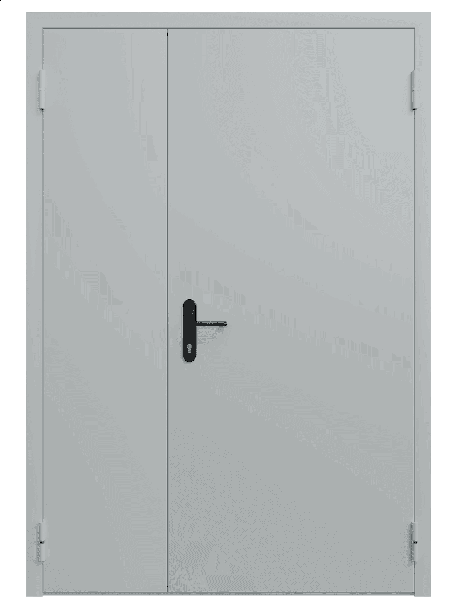 Двупольная техническая универсальная дверь глухая